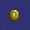 Gold Coin
